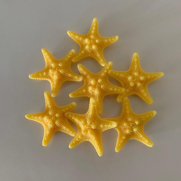 7 starfish flatbacks, starfish flatbacks, starfish cabochon, cabochon starfish, beach flats, ocean flatbacks, starfish for crafts, starfish