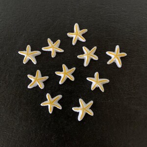 10 starfish cabochons, starfish flats, starfish flatbacks, star fish cabochon, beach cabochon, beach cabachon, starfish crafts, star fish