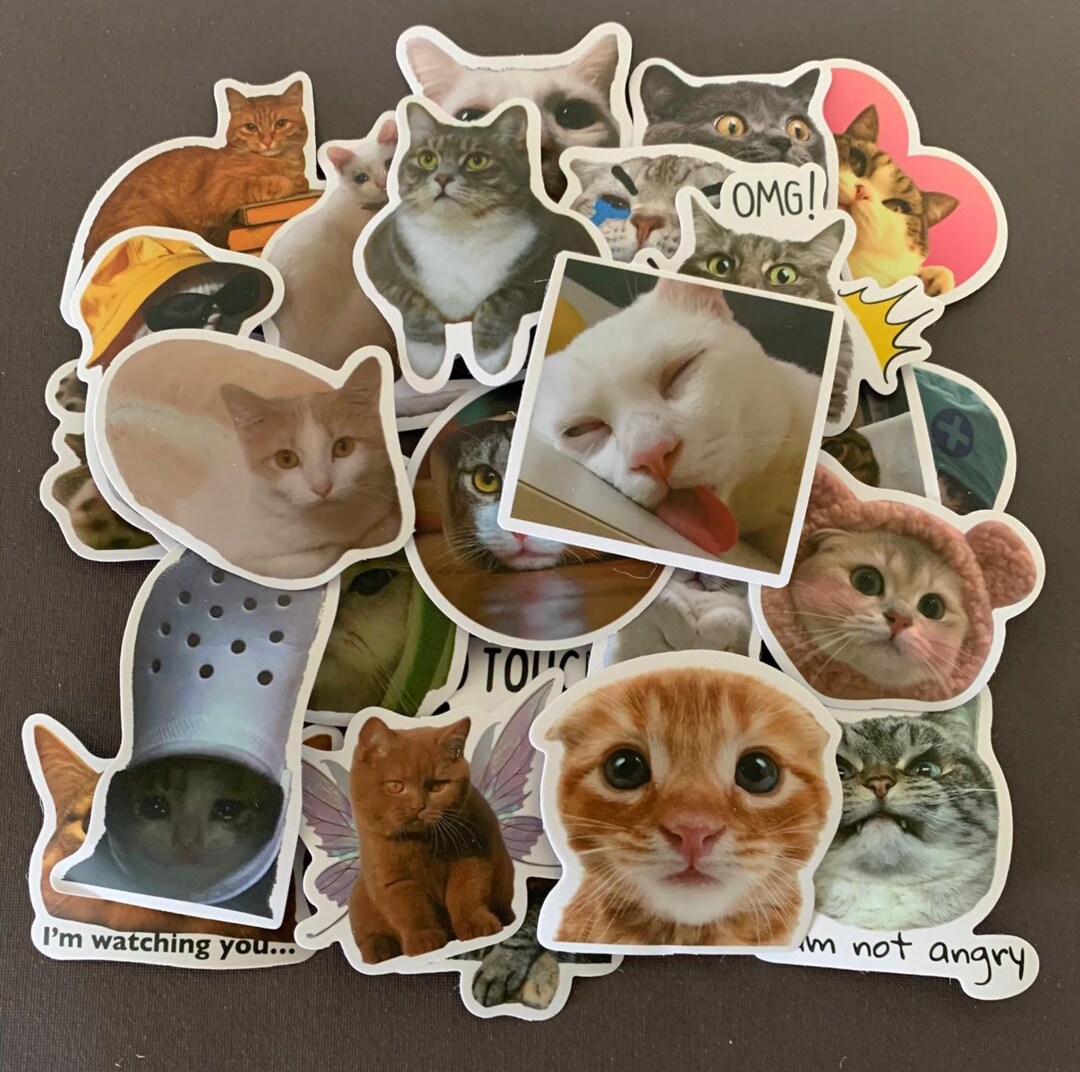 25 Random Mix Cat Stickers, Cat Stickers Assorted, Animal Stickers ...