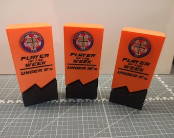 Custom Football Trophy: Personalized Player/Coach Award-Premium version