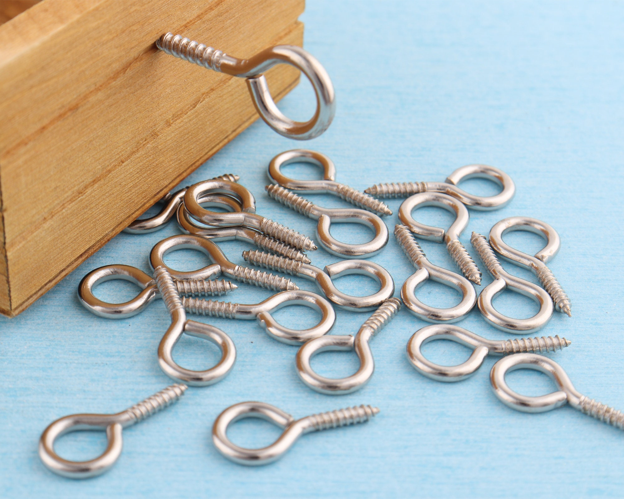 Silver Eye Hook Screwsmuliti Size Stainless Iron Loop Screws Etsy