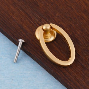 Może przedstawiać: Złoty, owalny uchwyt do szuflady z pasującą okrągłą podstawą i srebrną śrubą. Okucia są umieszczone na ciemnobrązowej drewnianej powierzchni i jasnoniebieskim tle.