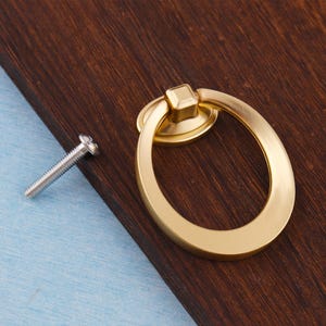 Może przedstawiać: Złoty, owalny uchwyt do szafki z pasującą podstawą i srebrną śrubą. Uchwyt umieszczony jest na ciemnobrązowej drewnianej powierzchni, z jasnoniebieskim tłem. Okucia meblowe.