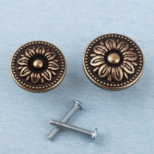 May include: Two antique brass-colored cabinet knobs with a floral design and a small, round center. The knobs are round with a detailed pattern and are accompanied by two silver screws, set against a light blue background.