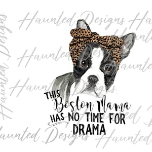 Boston Terrier Dog with bandana pug life Sublimation Design PNG, Craft, Clip Art Design, Digital Download DTF