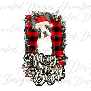 Boston joyeux et lumineux Noël sublimation design PNG, artisanat, clipart, téléchargement DTF
