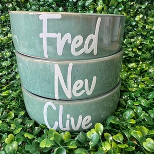 May include: Three stacked, sage green ceramic pet bowls. Each bowl has a white, handwritten-style name: Fred, Nev, and Clive. The bowls are set against a backdrop of green foliage.
