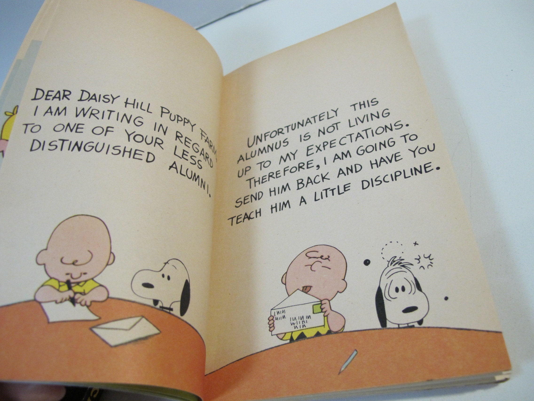 Charlie Brown Books I Need All the Friends I Can Get / Etsy