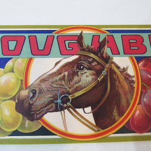 Thoroughbred Brand Grapes - Cutler Fruit Growers Association - 1920s California Fruit Label