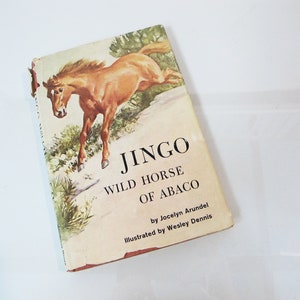 Jingo Book JINGO - 1959 First Edition - Arundel Dennis - Wild Horse of Abaco ...