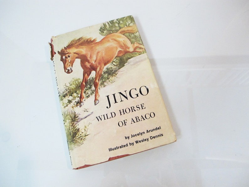 Jingo Book JINGO - 1959 First Edition - Arundel Dennis - Wild Horse of Abaco ...