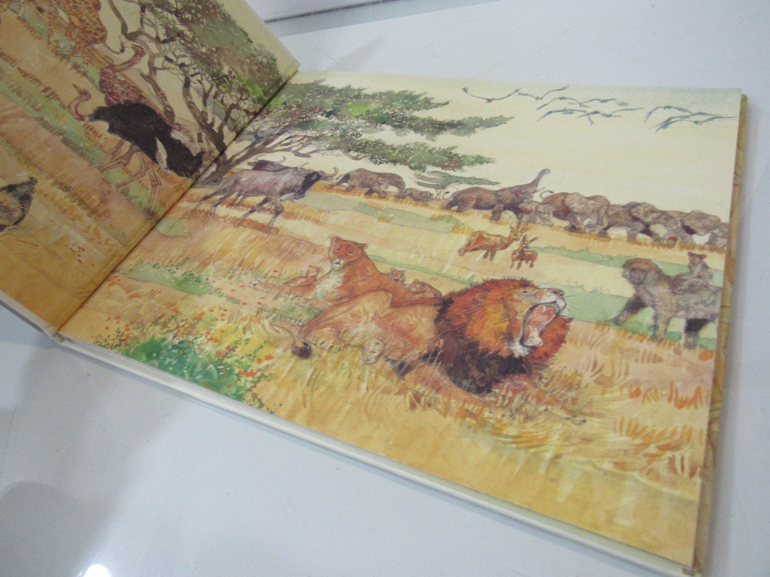 Lion and the Mouse Jerry Pinkney Caldecott Winner - Etsy