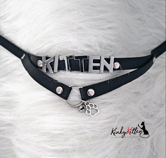 collar that says kitten