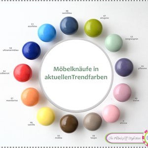 Könnte beinhalten: Eine Farbkarte mit 12 verschiedenen farbigen Knäufen, jeder mit einer Nummer und einem deutschen Wort, das die Farbe beschreibt. Die Karte ist mit "Möbelknäufe in aktuellen Trendfarben" betitelt und hat unten ein Logo mit der Aufschrift "Die Möbelgriff Stylisten".