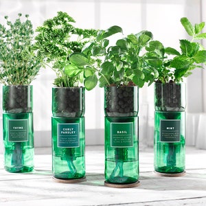 Upcycled Hydro-herb Kits