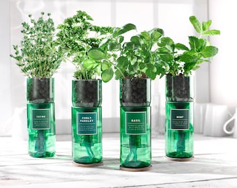 Upcycled Hydro-herb Kits