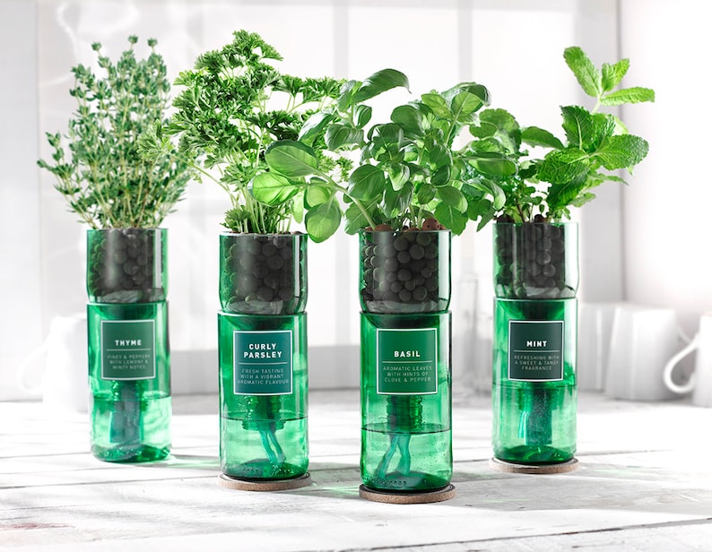 Upcycled Hydro-Herb Kits (wine bottle)