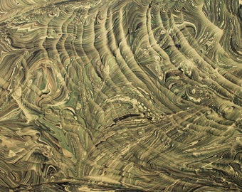 Marbling Paper Art Reptiles role marbled