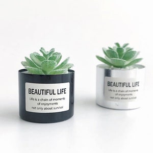 2 styles - 1/12 1/6 Dollhouse Miniature House Pot Green Succulent / Long Leaves Plant (Height 3 cm / 4 cm) in Black / Gold / Silver Pot