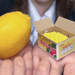 1/6 Dollhouse Miniature Carton Box with Lemons #kel