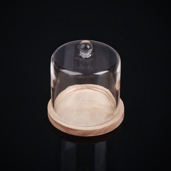 2 styles x 2 colours - 1/6 Dollhouse Miniature Wooden Cake Tray (Diameter 4.5 cm) with Cylindrical / Dome Real Glass Cloche