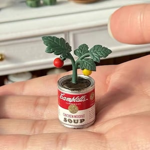 May include: A miniature tomato plant growing in a miniature can of Campbell's Condensed Chicken Noodle Soup.