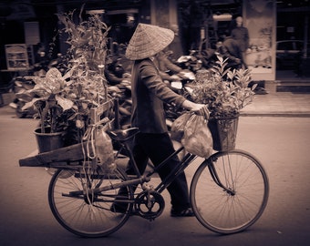 Plant Lady Vietnam, Descarga digital de fotografía