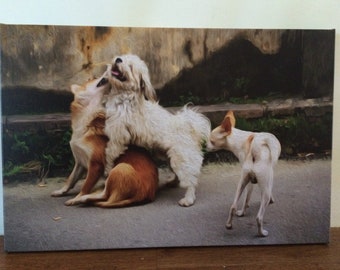 Street Dogs, Vietnam. Original photograph canvas wall art print. Oil Painting style. 60cm x 40cm.