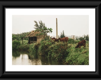 Lakeside Hut, Cua Dai, Vietnam. Photographic print.