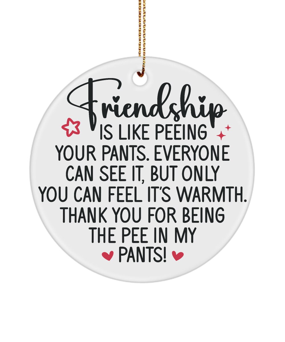 Best Friends Valentines Day Gift, Friendship is Like Peeing in Your