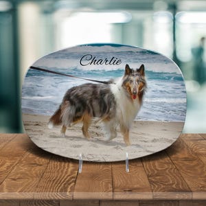 Dog Memorial Plate, Cat Memorial Plate, Custom Pet Picture Plates, Pet Memorial Plate, Dog Bowl Tray