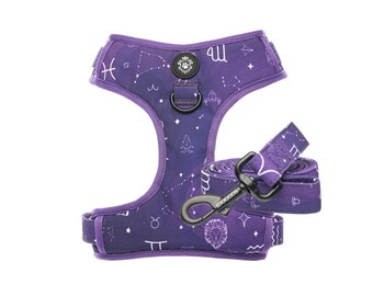 Astrology Leash And Harness Set by iDoggos, Best Seller Pet Harness and Leash Set, High Quality & Handmade Dog | High Quality Pet Accessory