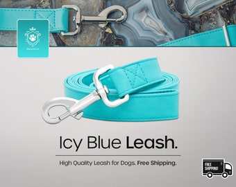 Icy Snowflakes Webbing Leash
