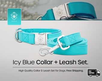 Icy Snowflakes Webbing Leash