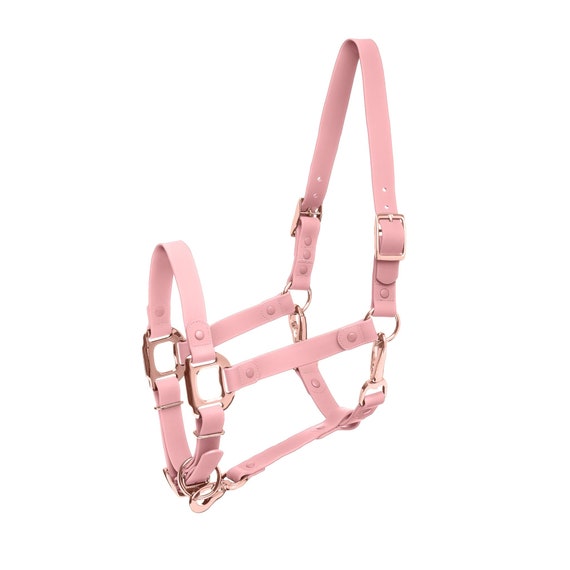 NOUVEAU Licol Cheval Icavalos WATERPROOF Rose / Licol Cheval Et