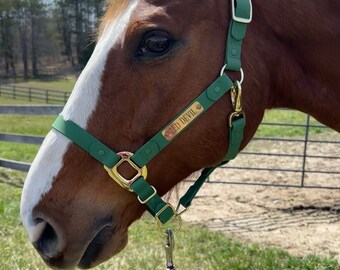 Personalized horse plate, Personalize Your halter In Style. (Personalization)