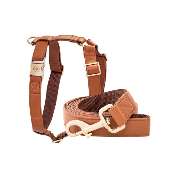 Calvados Dog Leash and Harness Set by Idoggos Best Seller Pet Etsy