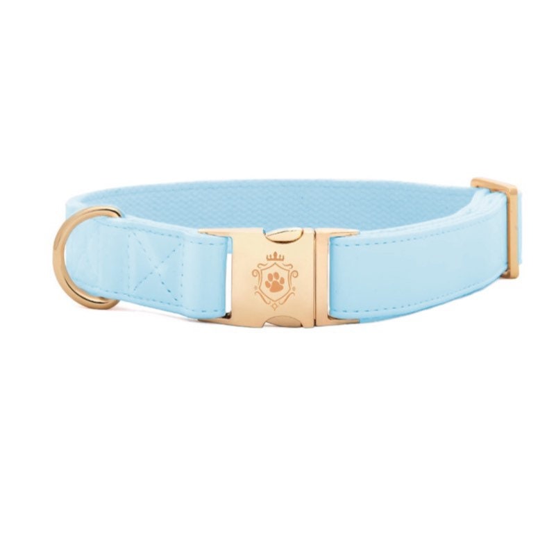 Pointer Traditions  Hunting Dog Center Ring Collar - Sky Blue
