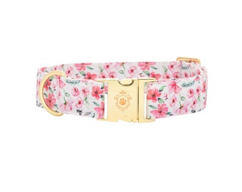 Daisy Dog Collar by iDoggos, Floral Design Pet Collar, Our Best Seller Dog Collar, High Quality Pet Collar.