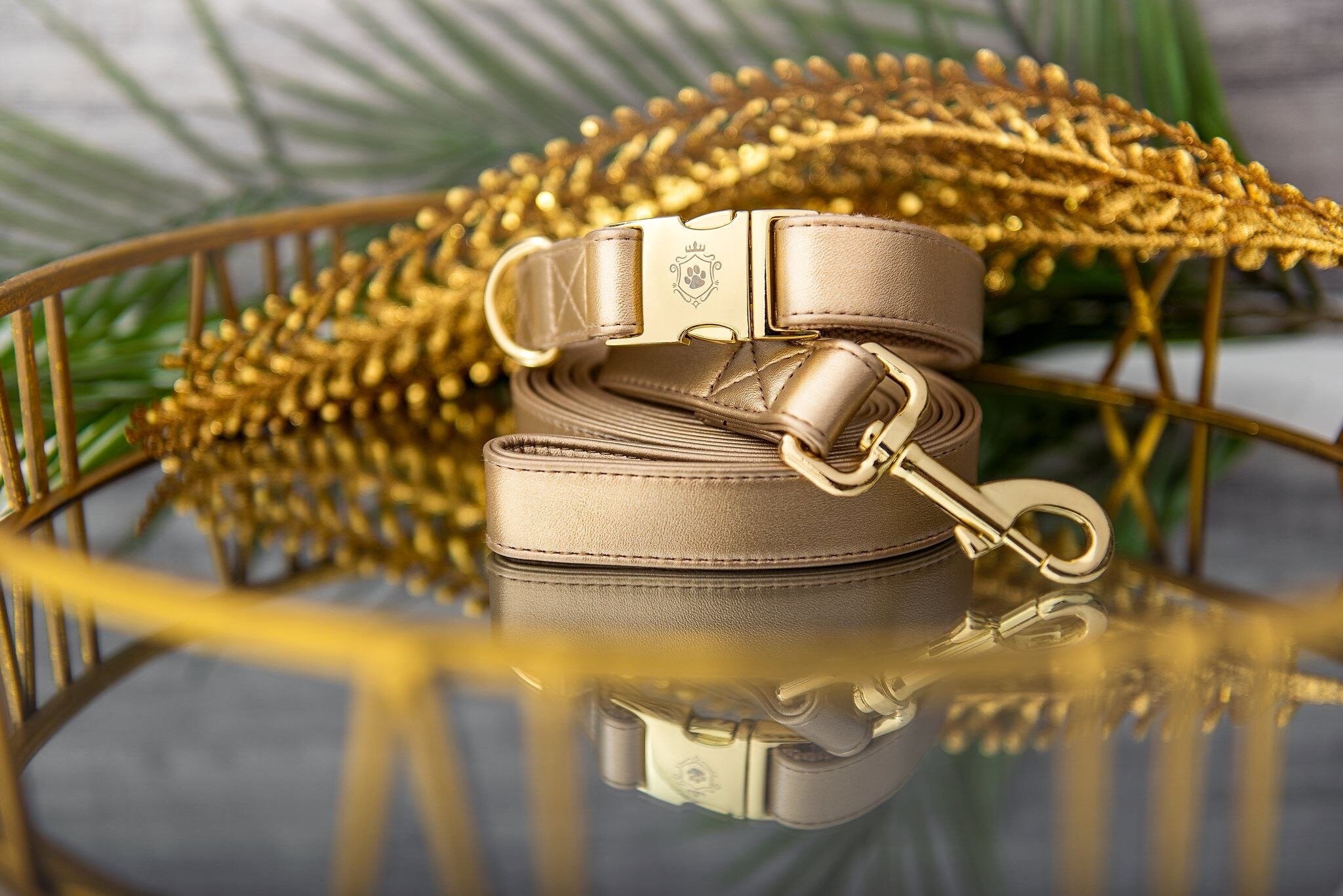 Royal Gold Dog Collar and Leash Set by Idoggos Best Seller Etsy UK