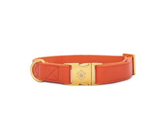 iDoggos Pumpkin Dog Collar | Essential Collection | High Quality Pet Accessory | Handmade in Canada