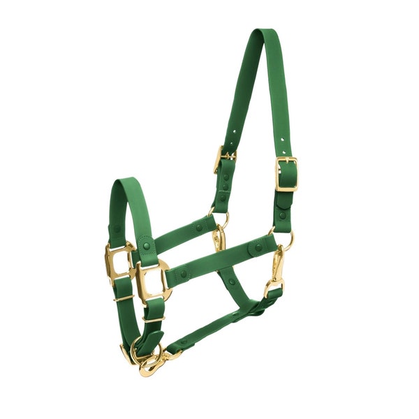 WATERPROOF Licol iCavalos vert / Breakaway cheval et poney imperméable de haute qualité