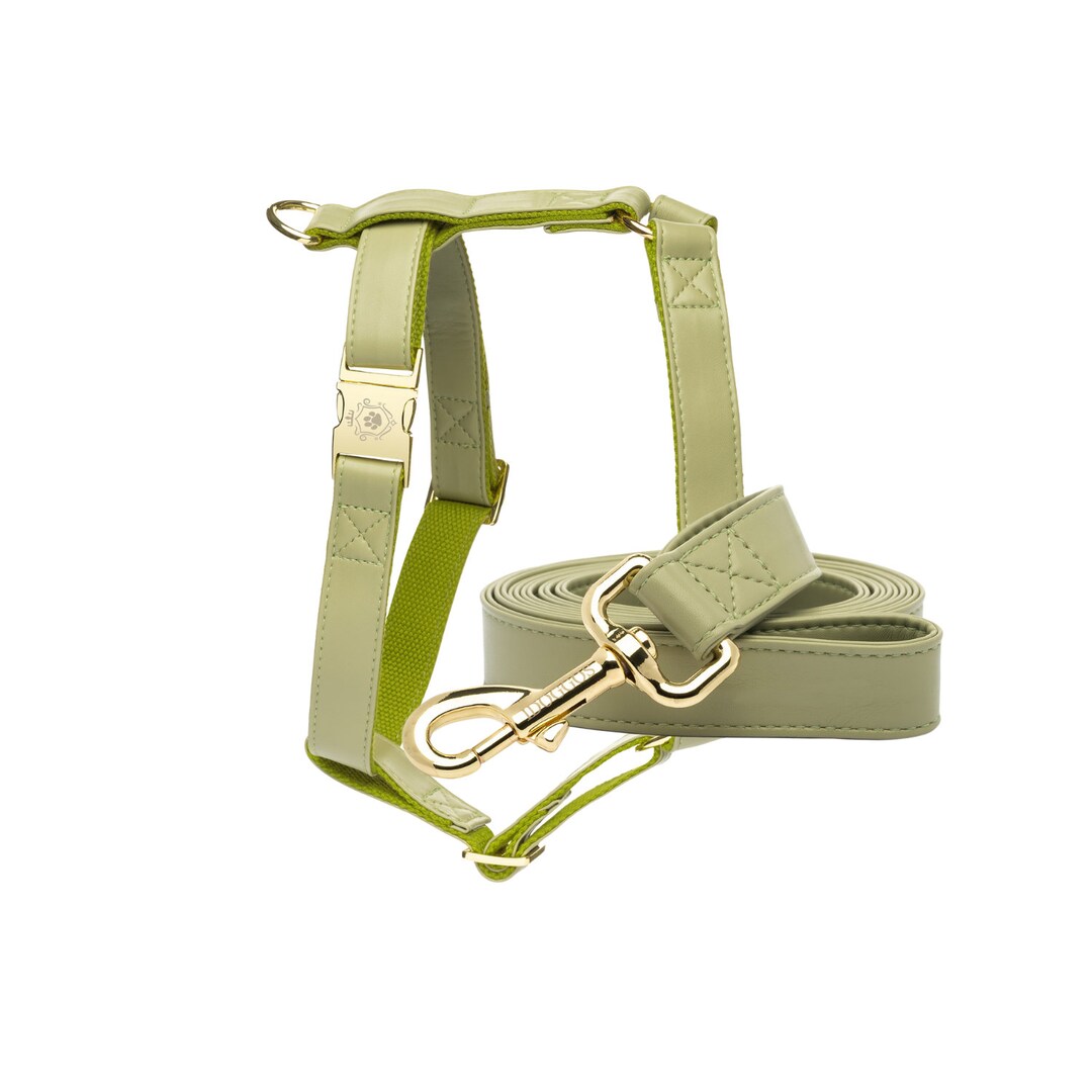 Olive Dog Leash and Harness Set by Idoggos, Best Seller Pet Leash and