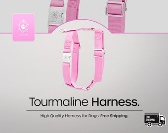 Tourmaline Dog Harness by iDoggos, Elegant and Durable Dog Harness, Handmade Dog Harness, Superior Quality Dog Harness.