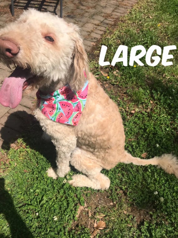 FLORIDA STATE SEMINOLES Slide over Collar Bandana Dog//Puppy