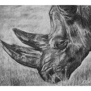 Rhino