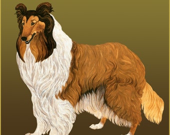 Long Haired Collie painting by Dandi Palmer to download and print out.