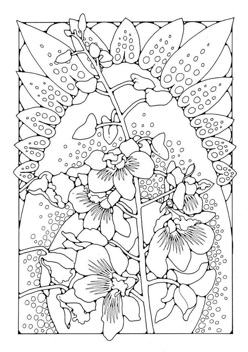 A Colouring Book of Orchids, 42 different pages to download and print out. image 6