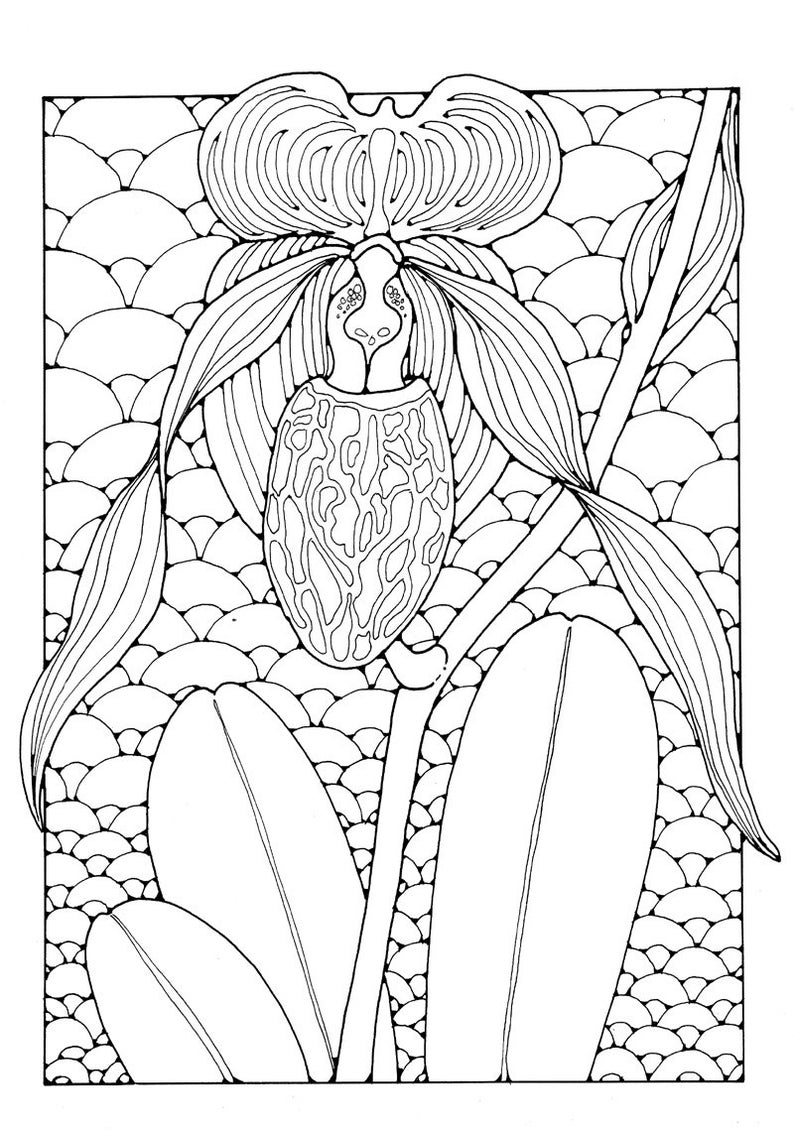 A Colouring Book of Orchids, 42 different pages to download and print out. image 7