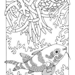A Water World Colouring Book, 42 Different Pages to Download and Print ...